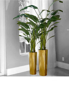VASES & PLANTS