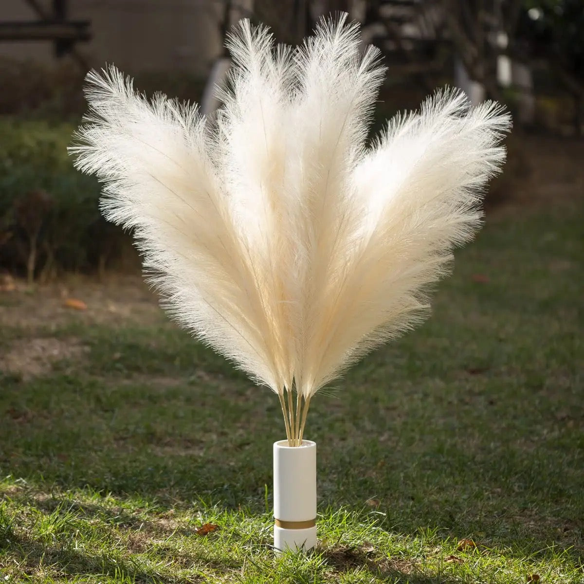 Pampas Grass