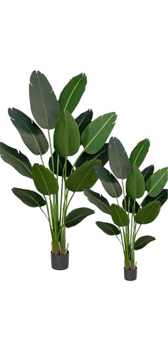 Artificial Banana 7 Foot Tree