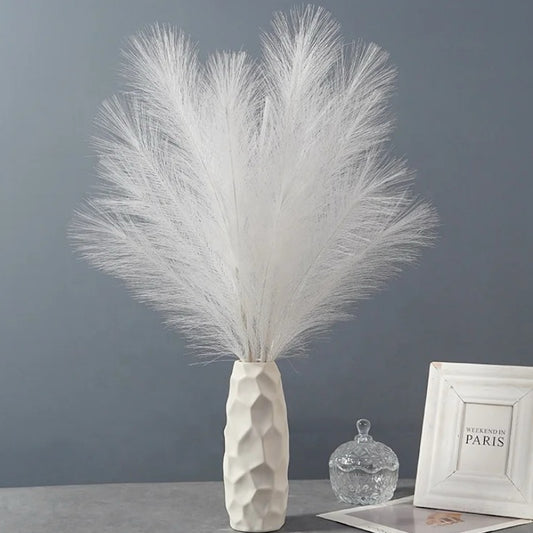 White Pampas Grass